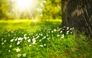 Mindfulness e rilassamento: approcci simili o distinti?