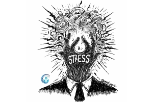 Ma cosa è questo stress?
